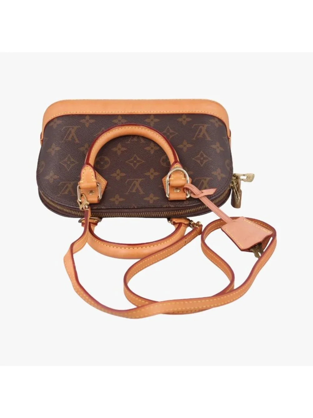 Louis Vuitton brand louis